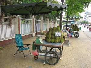 Durian vendors in Ho Chi Minh City, Vietnam, photographed in April 2009