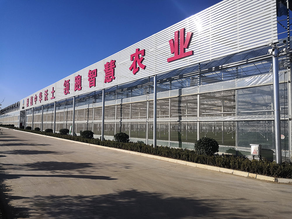 Good news! Anqiu's First "National Brand" Agricultural Industry Standard Project