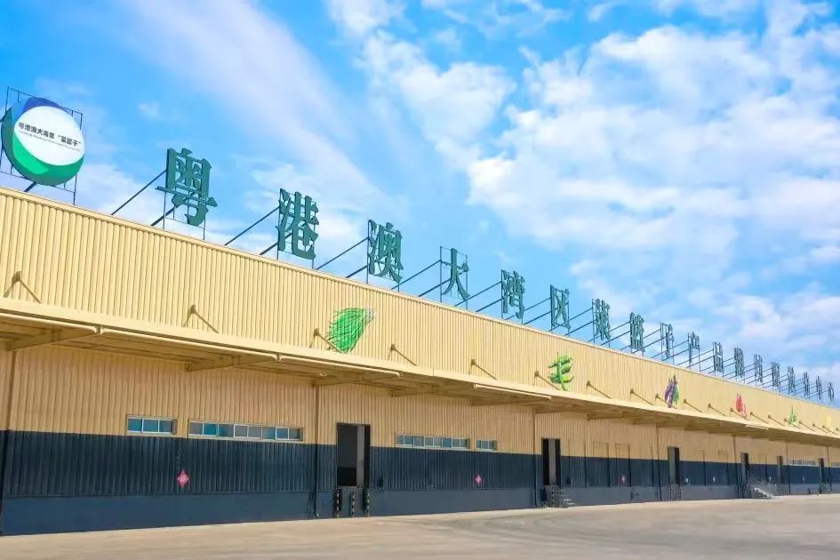 Great news! Guangdong-Hong kong-Macao Greater Bay Area