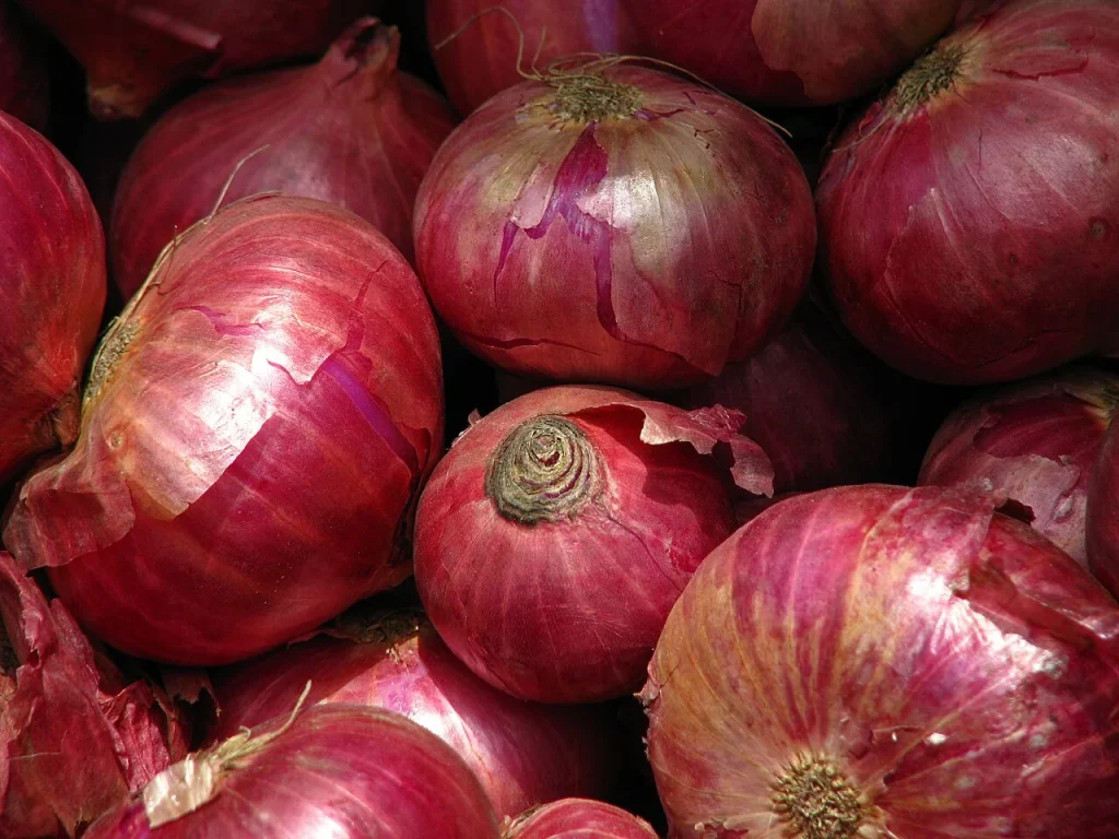 Onions at Koyambedu market in Chennai, India