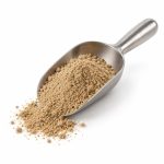 Illustrative aniseed powder in a stainless steel scoop on a white background