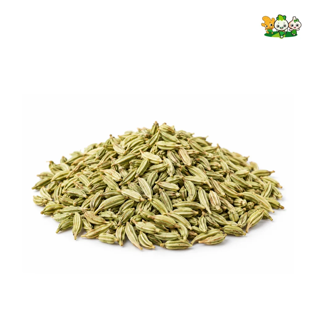 Fennel
