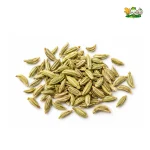 Fennel