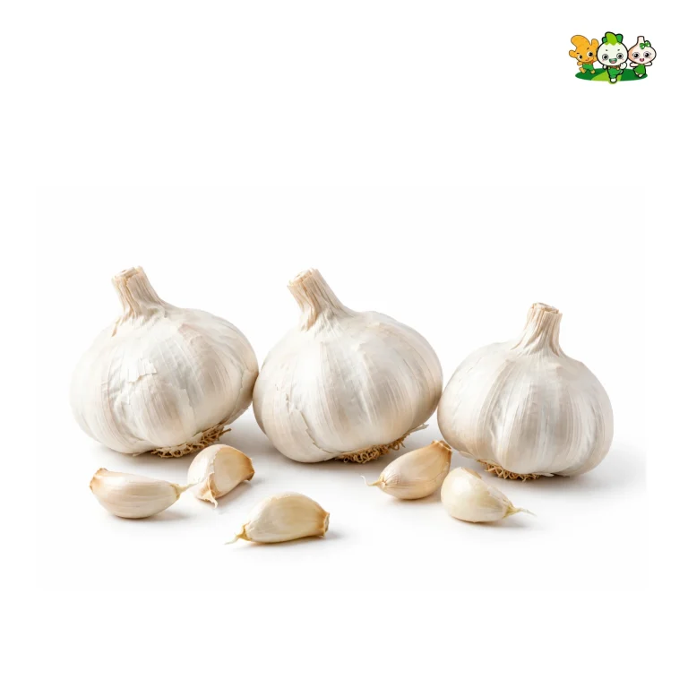 Fresh Garlic