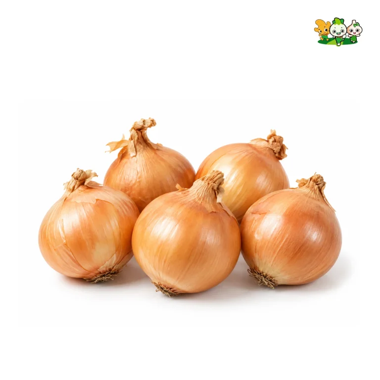 Fresh Onion