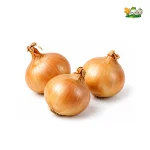 신선 양파