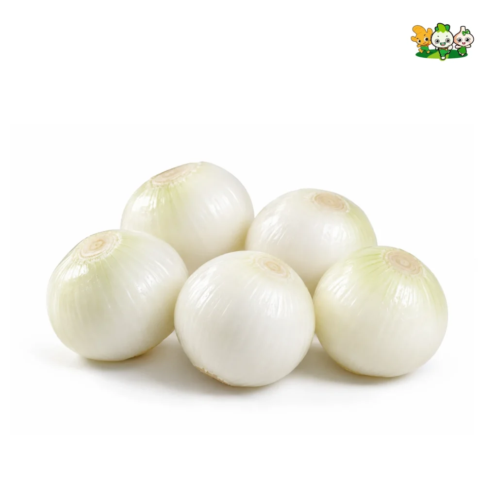 Cebolla pelada fresca