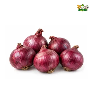 Cebolla morada fresca