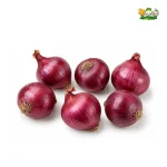 Fresh Red Onion