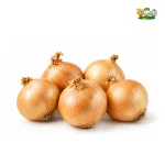 Fresh Yellow Onion