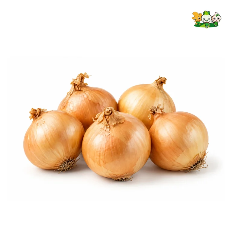 Fresh Yellow Onion