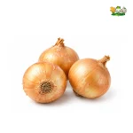Fresh Yellow Onion