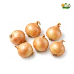 Fresh Yellow Onion