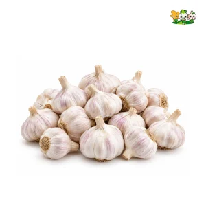 Knoblauch-Rohware
