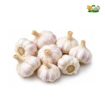 Garlic Raw Materials