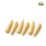 IQF 베이비콘