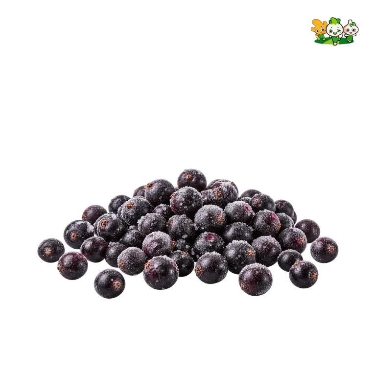 IQF Blackcurrant