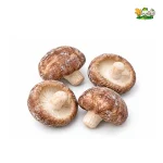 IQF-Shiitake-Pilze