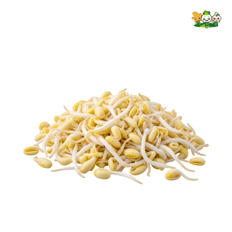 IQF Soybean Sprouts